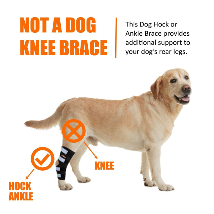 NeoAlly Dog Rear Leg Hock Brace with Safety Reflective Straps for Large Dogs [Long Version] - - by Neoallypets