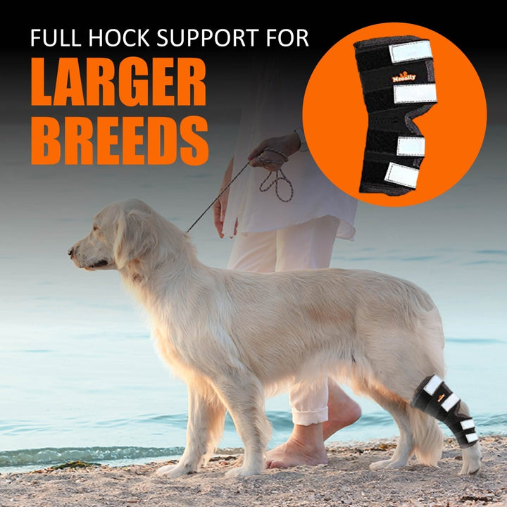 NeoAlly Dog Rear Leg Hock Brace with Safety Reflective Straps for Large Dogs [Long Version] - - by Neoallypets