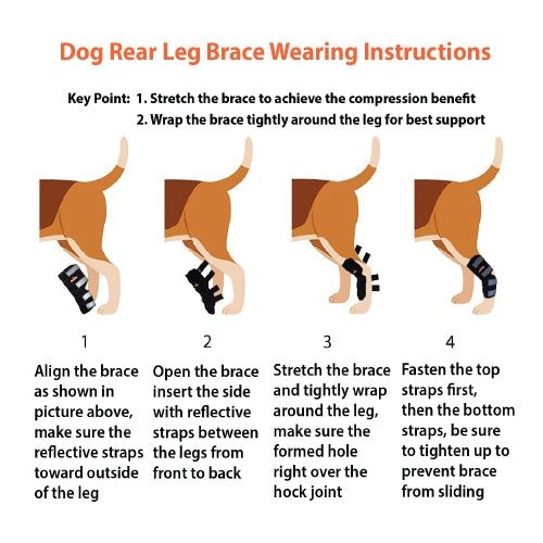 NeoAlly Dog Rear Leg Hock Brace with Safety Reflective Straps for Large Dogs [Long Version] - - by Neoallypets
