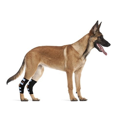NeoAlly Dog Rear Leg Hock Brace with Safety Reflective Straps for Large Dogs [Long Version] - - by Neoallypets