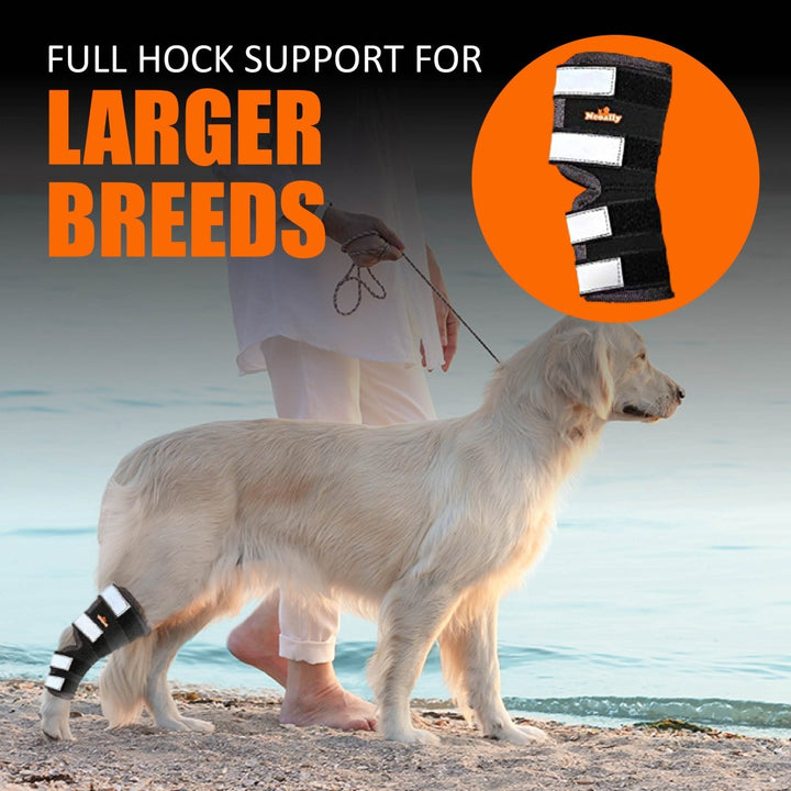 NeoAlly Dog Rear Leg Hock Brace with Safety Reflective Straps for Large Dogs [Long Version] - - by Neoallypets
