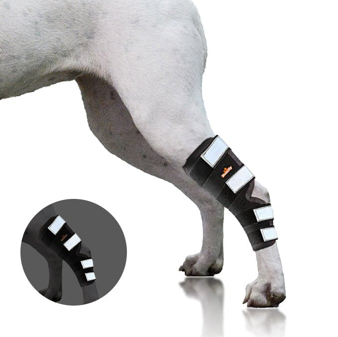 NeoAlly Dog Rear Leg Hock Brace with Safety Reflective Straps for Large Dogs [Long Version] - - by Neoallypets