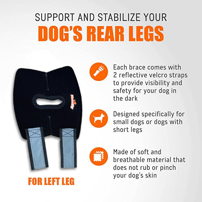 NeoAlly Dog Rear Leg Hock Brace with Safety Reflective Straps for Small Dogs [Short Version] - - by Neoallypets