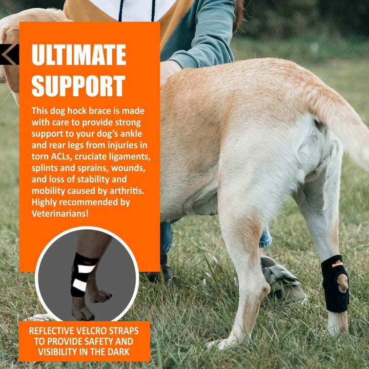 NeoAlly Dog Rear Leg Hock Brace with Safety Reflective Straps for Small Dogs [Short Version] - - by Neoallypets