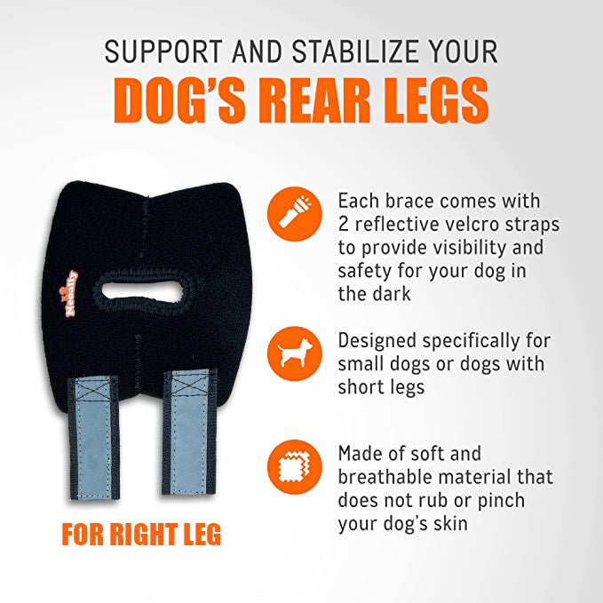 NeoAlly Dog Rear Leg Hock Brace with Safety Reflective Straps for Small Dogs [Short Version] - - by Neoallypets