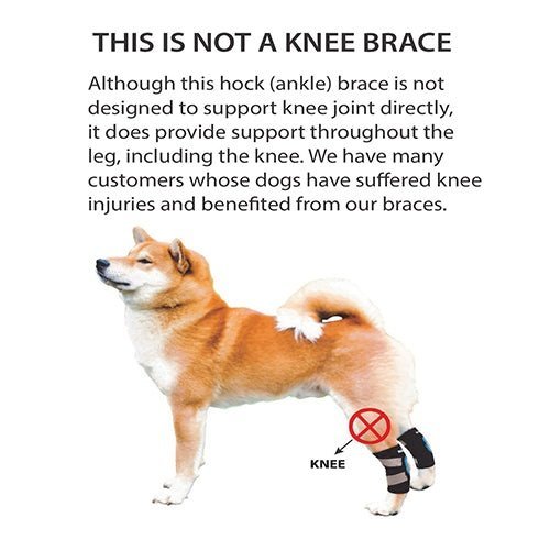 NeoAlly Dog Rear Leg Hock Brace with Safety Reflective Straps for Small Dogs [Short Version] - - by Neoallypets