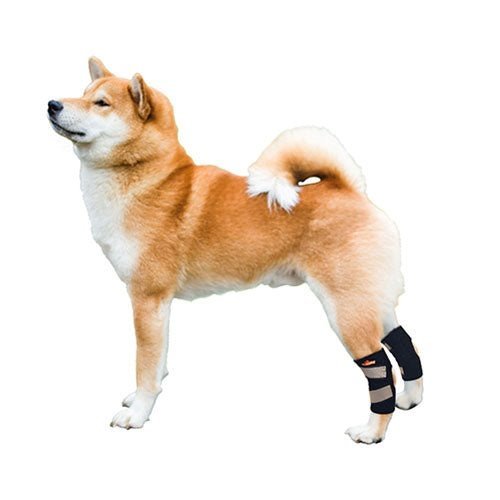 NeoAlly Dog Rear Leg Hock Brace with Safety Reflective Straps for Small Dogs [Short Version] - - by Neoallypets