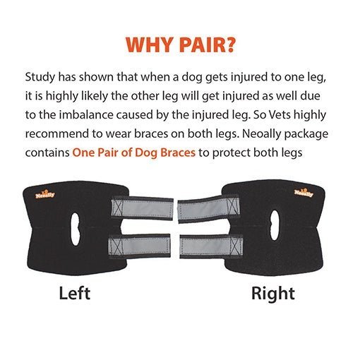 NeoAlly Dog Rear Leg Hock Brace with Safety Reflective Straps for Small Dogs [Short Version] - - by Neoallypets
