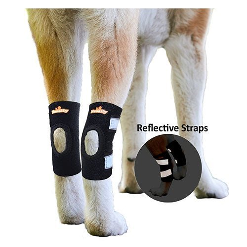 NeoAlly Dog Rear Leg Hock Brace with Safety Reflective Straps for Small Dogs [Short Version] - Pair - by Neoallypets