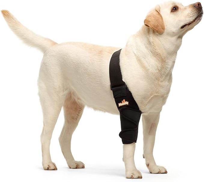 NeoAlly Elbow and Shoulder Brace for Dogs and Cats - Optimal Support for Pet Mobility - Right Leg - by Neoallypets