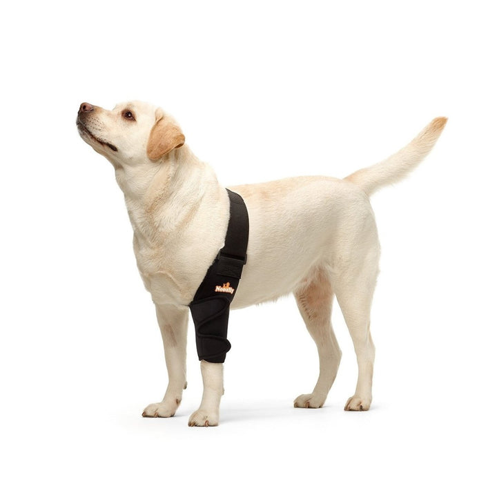 NeoAlly Elbow and Shoulder Brace for Dogs and Cats - Optimal Support for Pet Mobility - Left Leg - by Neoallypets