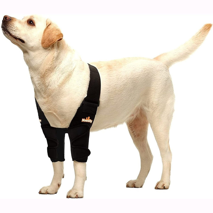 NeoAlly Elbow and Shoulder Brace for Dogs and Cats - Optimal Support for Pet Mobility - Both Legs - by Neoallypets
