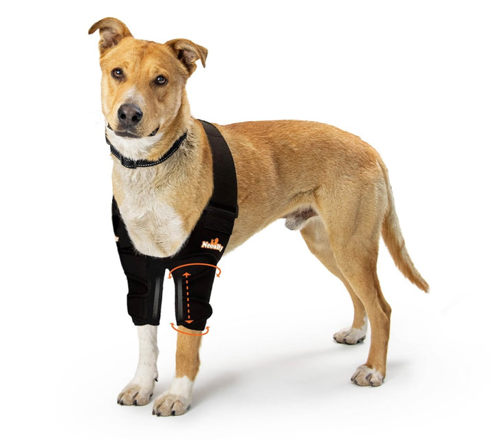 NeoAlly Elbow and Shoulder Brace with Spring Inserts for Dogs and Cats - Enhance Pet Mobility with Optimal Support - Both - by Neoallypets