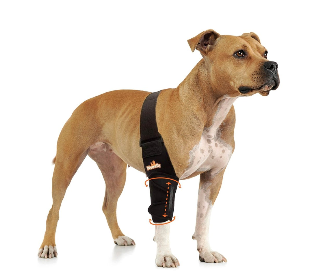 NeoAlly Elbow and Shoulder Brace with Spring Inserts for Dogs and Cats - Enhance Pet Mobility with Optimal Support - Right - by Neoallypets