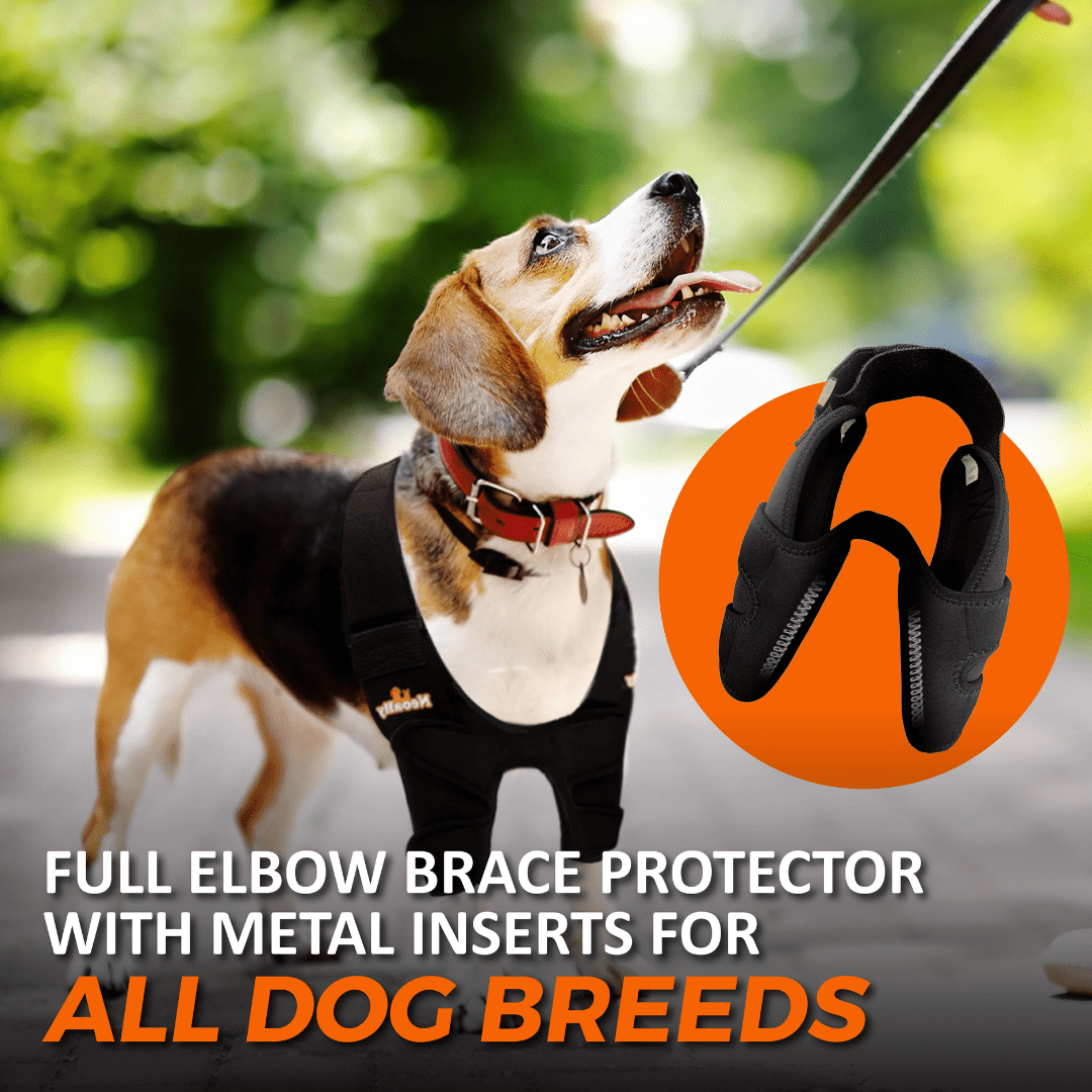 NeoAlly Elbow and Shoulder Brace with Spring Inserts for Dogs and Cats - Enhance Pet Mobility with Optimal Support - - by Neoallypets