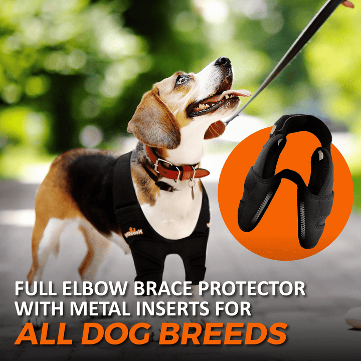 NeoAlly Elbow and Shoulder Brace with Spring Inserts for Dogs and Cats - Enhance Pet Mobility with Optimal Support - - by Neoallypets