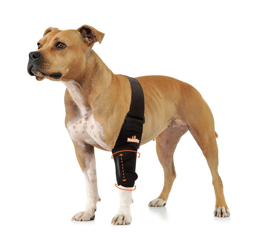 NeoAlly Elbow and Shoulder Brace with Spring Inserts for Dogs and Cats - Enhance Pet Mobility with Optimal Support - Left - by Neoallypets