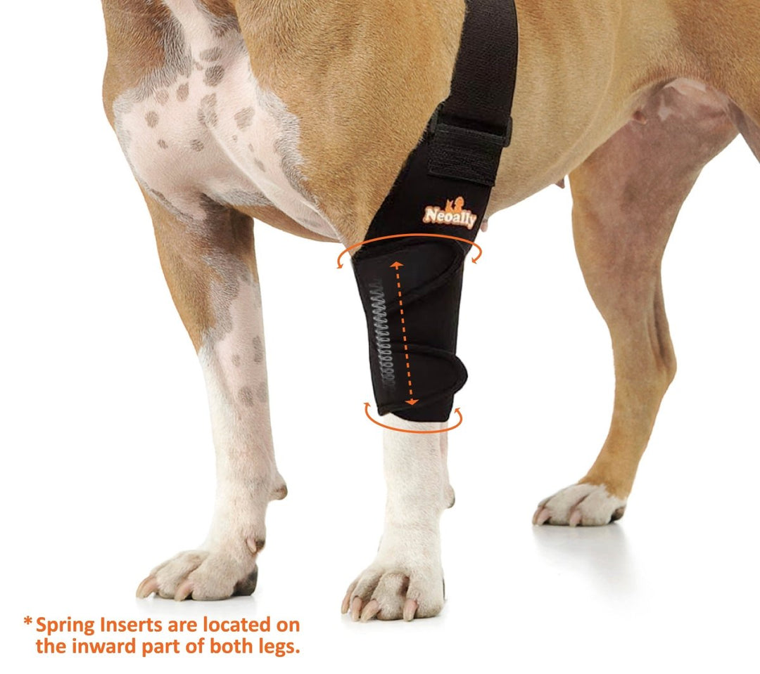 NeoAlly Elbow and Shoulder Brace with Spring Inserts for Dogs and Cats - Enhance Pet Mobility with Optimal Support - - by Neoallypets