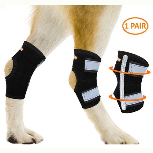 NeoAlly Rear Leg Hock Brace - Metal Spring Strips for Small Dogs [Short Version] (Pair) - X Large - by Neoallypets