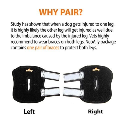NeoAlly Rear Leg Hock Brace - Metal Spring Strips for Small Dogs [Short Version] (Pair) - - by Neoallypets
