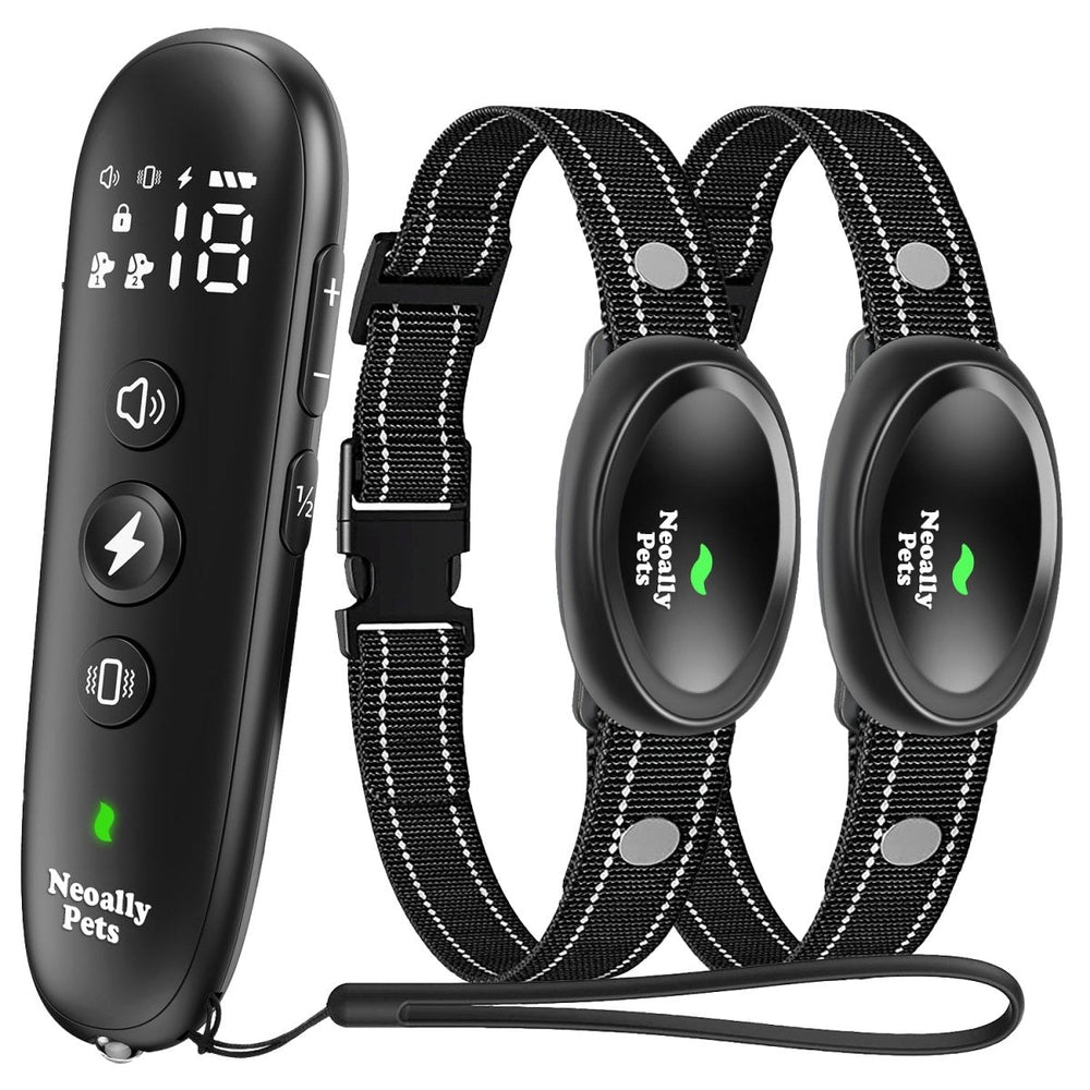 NeoAlly Remote Dog Training Collar for 8-150lbs Dogs | Rechargeable, Waterproof, 3 Training Modes, Security Lock, LED Anti-Lost Lights - 2 Collars - by Neoallypets