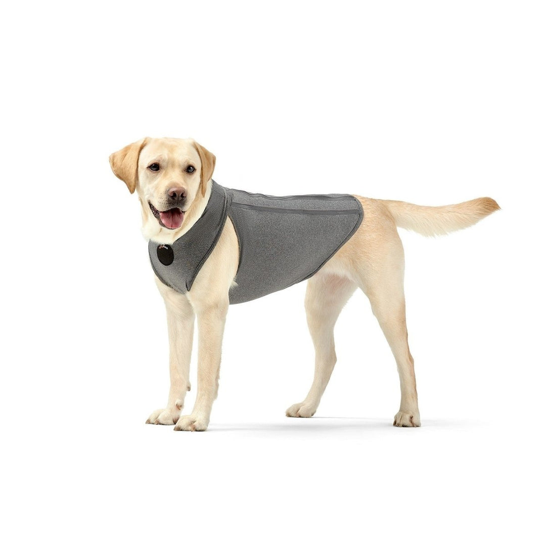 NeoAlly Upgraded Dog Surgical Recovery Vest for Dogs and Cats - - by Neoallypets