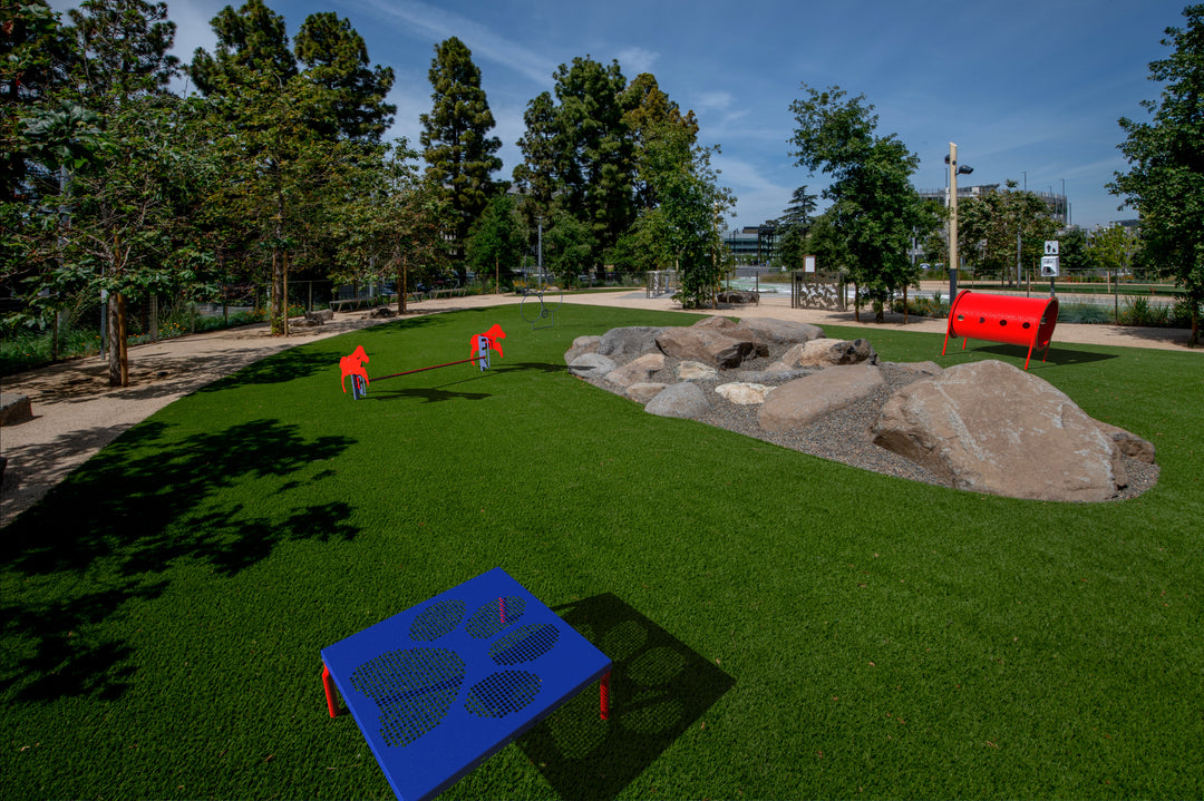 BarkPark Novice Kit - - by BarkPark