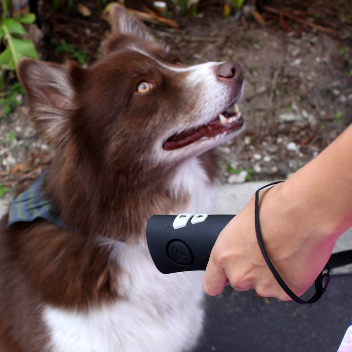 OnGuard™ - - Handheld by Ultimate Bark Control