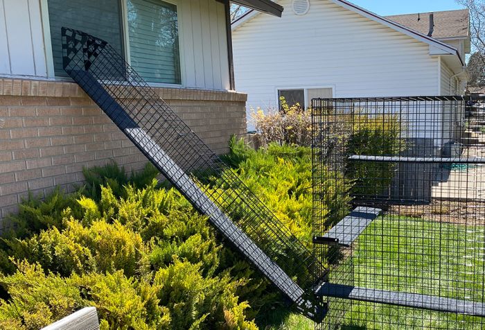 K9 Kennel Store Outdoor Catio Ramp - - Catio by K9 Kennel Store