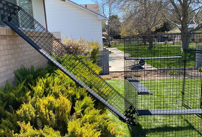 K9 Kennel Store Outdoor Catio Ramp - - Catio by K9 Kennel Store