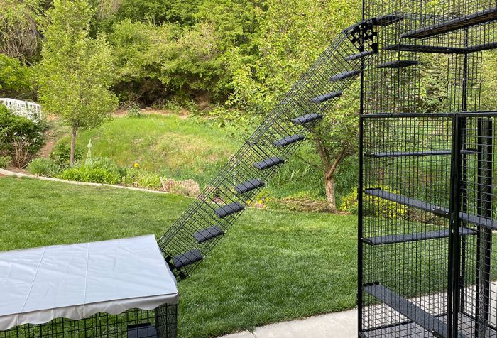 K9 Kennel Store Outdoor Catio Stairs - - Catio by K9 Kennel Store