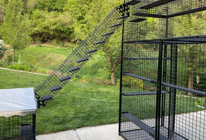 K9 Kennel Store Outdoor Catio Stairs - - Catio by K9 Kennel Store
