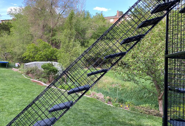 K9 Kennel Store Outdoor Catio Stairs - - Catio by K9 Kennel Store