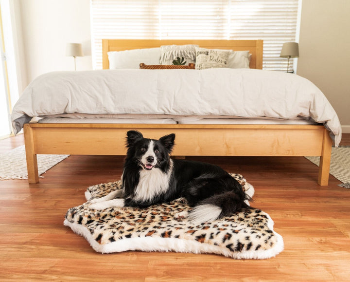 PupRug™ Animal Print Memory Foam Dog Bed - Cheetah Faux Print - - Today by Paw.com