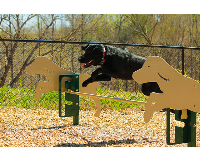 BarkPark Rover Jump Over - - by BarkPark