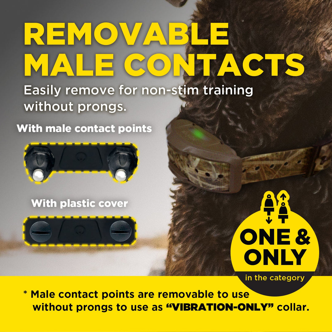 Dogtra 1900X Camouflage 1-Dog Unit E-Collar - - by Dogtra