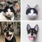 Petsies Custom Felted Pet Magnets