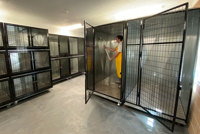 K9 Kennel Store Quick N Clean Galvanized Kennel Pod - - Dog Kennels & Runs by K9 Kennel Store