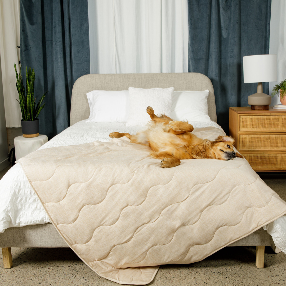 PupChill™ Cooling Waterproof Blanket - Arctic Sand - - Dog Blanket by Paw.com