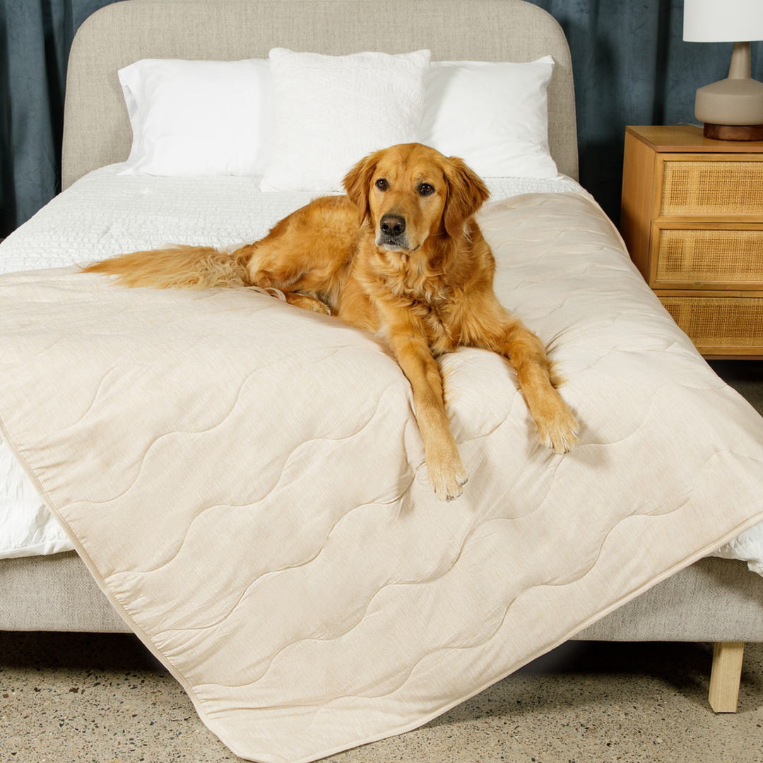 PupChill™ Cooling Waterproof Blanket - Arctic Sand - Original (50" L x 60" W) - Dog Blanket by Paw.com