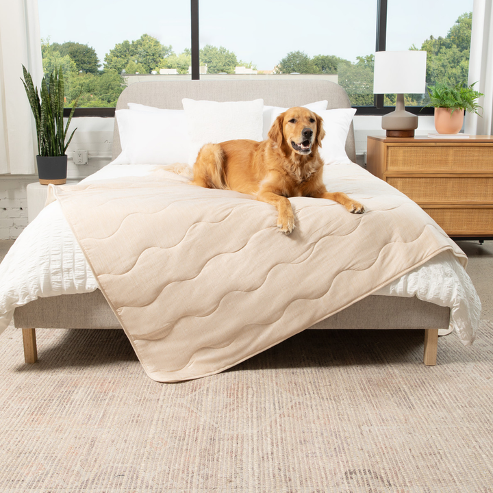 PupChill™ Cooling Waterproof Blanket - Arctic Sand - - Dog Blanket by Paw.com