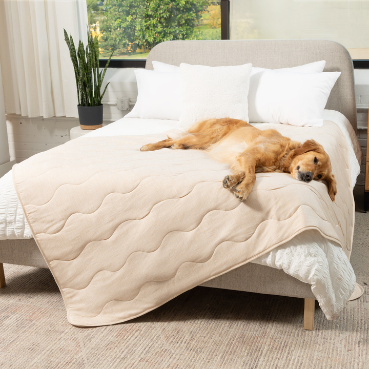 PupChill™ Cooling Waterproof Blanket - Arctic Sand - - Dog Blanket by Paw.com