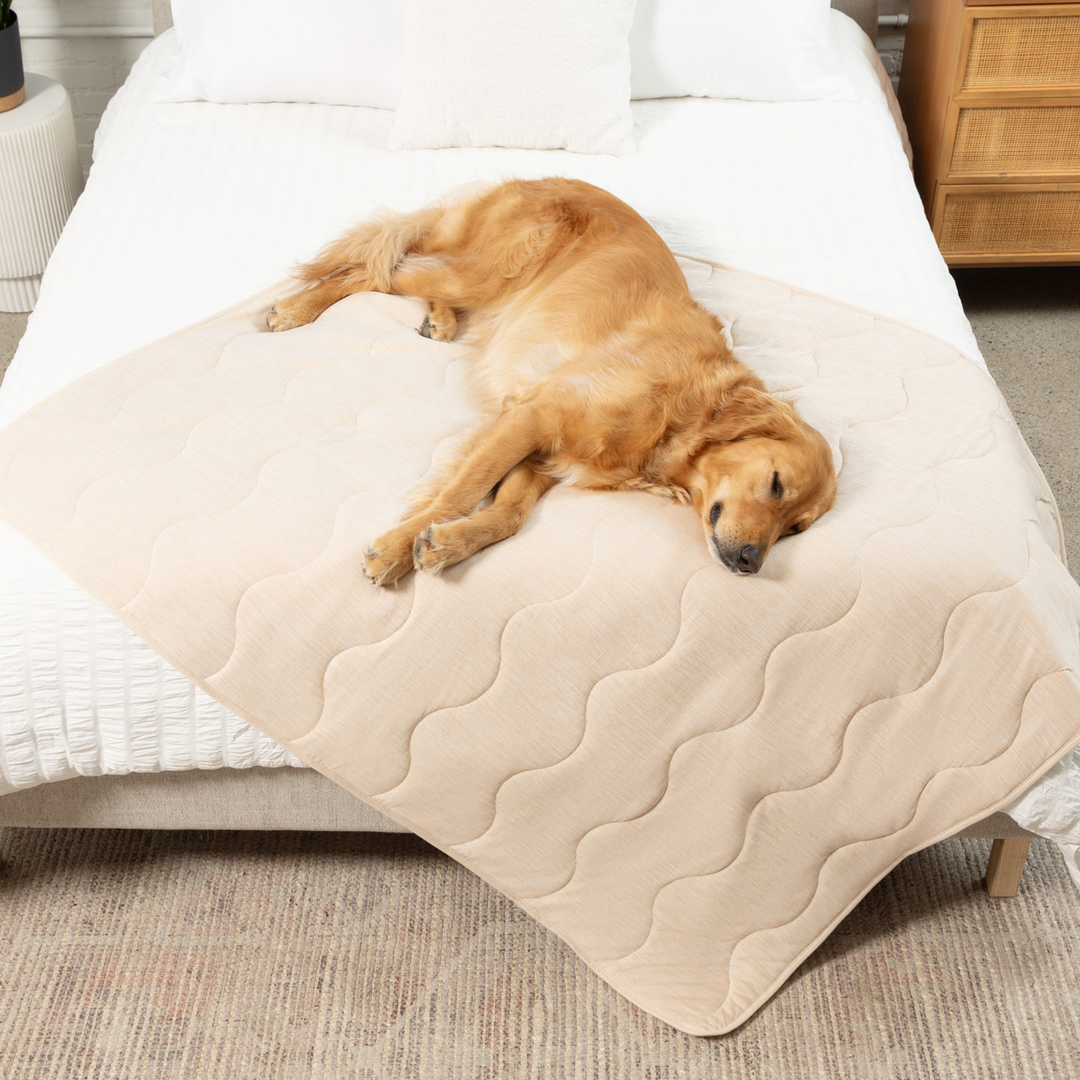 PupChill™ Cooling Waterproof Blanket - Arctic Sand - - Dog Blanket by Paw.com