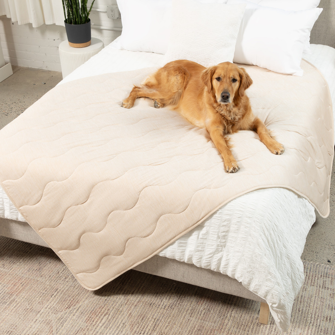 PupChill™ Cooling Waterproof Blanket - Arctic Sand - Large (60" L x 82" W) - Dog Blanket by Paw.com