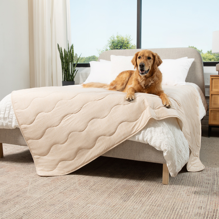 PupChill™ Cooling Waterproof Blanket - Arctic Sand - - Dog Blanket by Paw.com