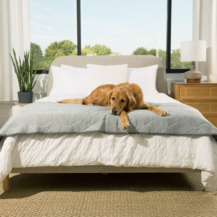 PupChill™ Cooling Waterproof Runner Blanket - Arctic Grey - - Dog Blanket by Paw.com