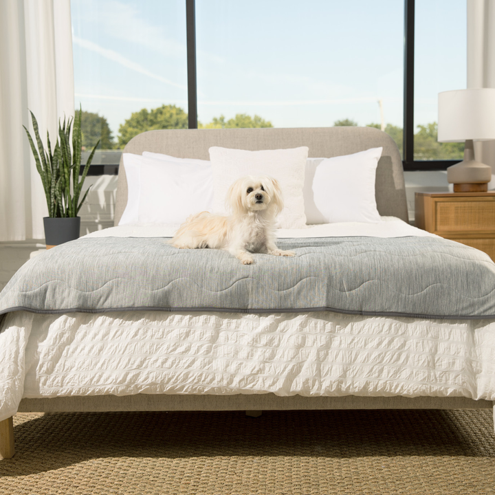 PupChill™ Cooling Waterproof Runner Blanket - Arctic Grey - - Dog Blanket by Paw.com