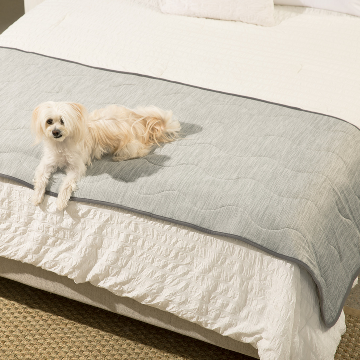 PupChill™ Cooling Waterproof Runner Blanket - Arctic Grey - - Dog Blanket by Paw.com