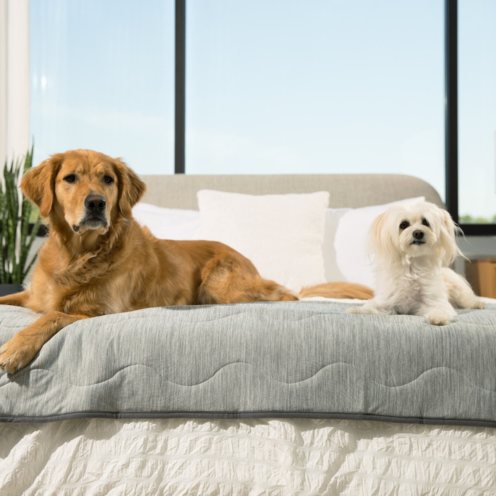 PupChill™ Cooling Waterproof Runner Blanket - Arctic Grey - - Dog Blanket by Paw.com