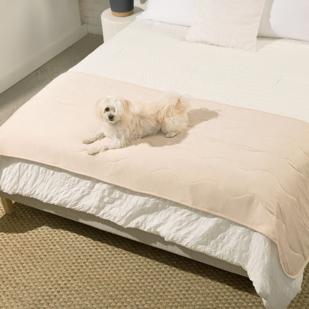 PupChill™ Cooling Waterproof Runner Blanket - Arctic Sand - - Dog Blanket by Paw.com
